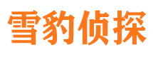 霍山外遇调查取证